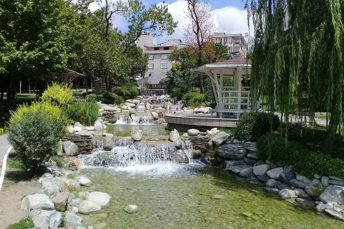 Koru Park photo 1