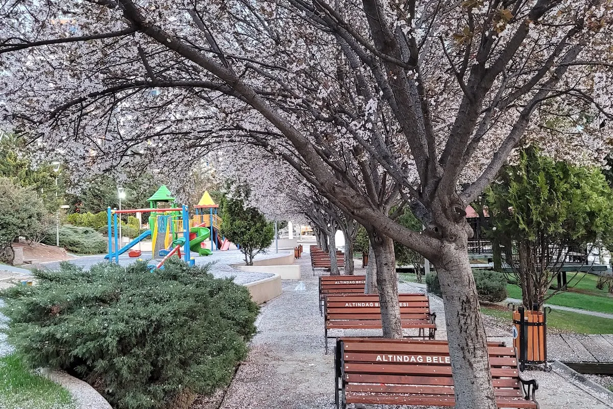 Cemre Parkı photo 1