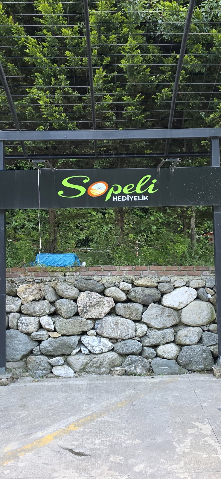 Sopeli photo 9