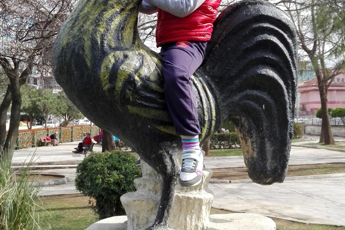 Akkonak Park photo 1