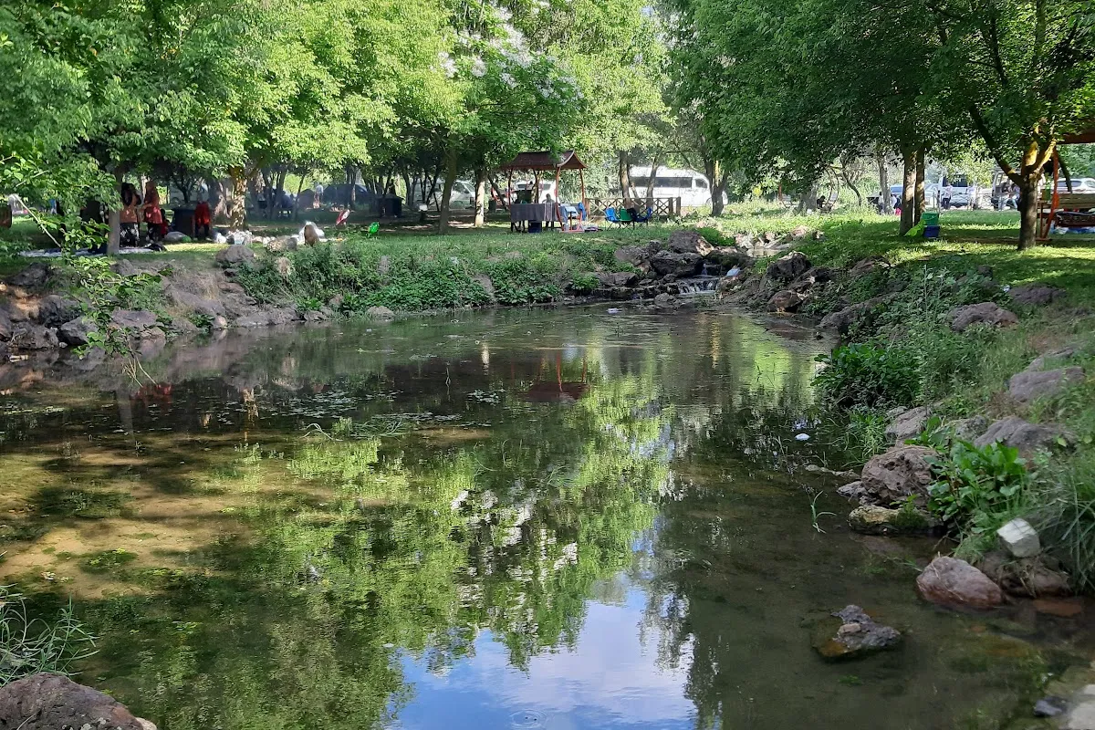 Türbin Recreation Area photo 1