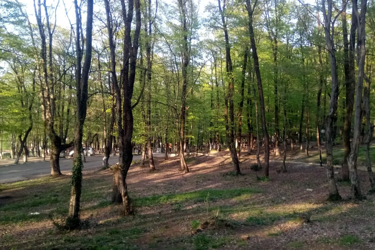 Kuzuluk Tabiat Parkı photo 1
