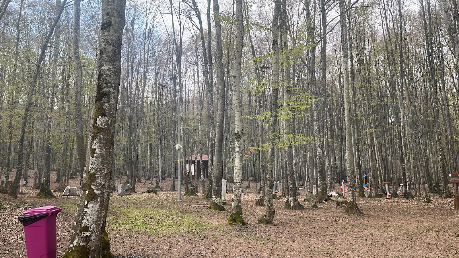 Gölcük Erikli Tepe Mesire Alanı photo 11