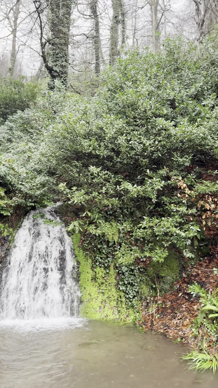 Gölcük Erikli Tepe Mesire Alanı photo 3