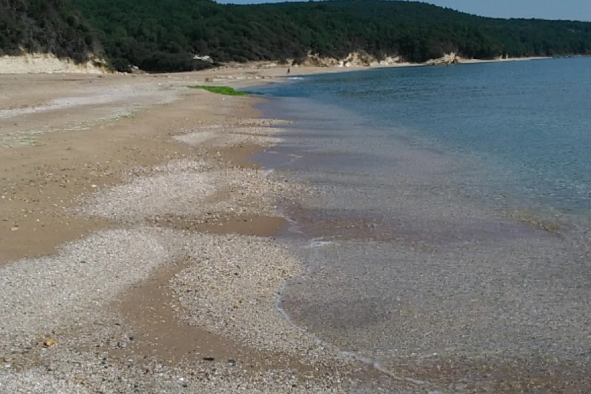 Servez Plajı photo 1