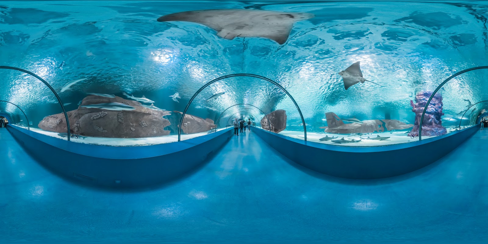 Antalya Aquarium photo 7