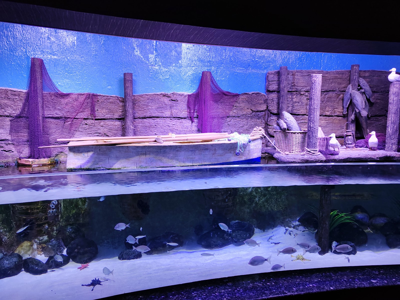 Antalya Aquarium photo 9
