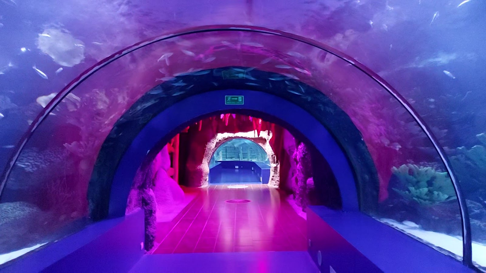 Antalya Aquarium photo 5