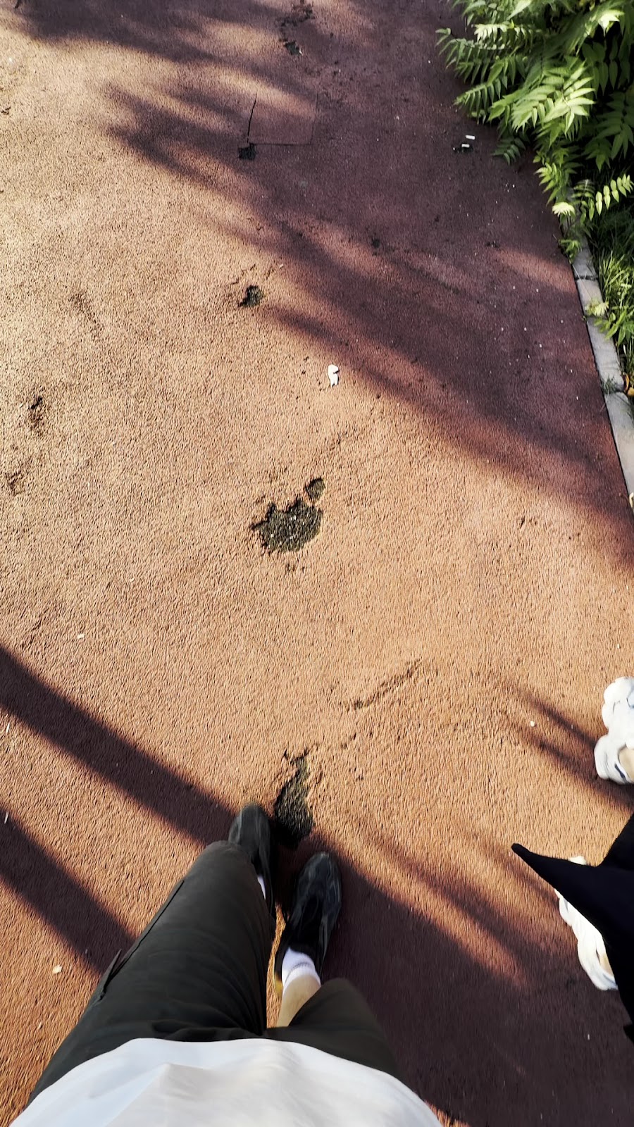 Bahçeşehir Gölet Park photo 3