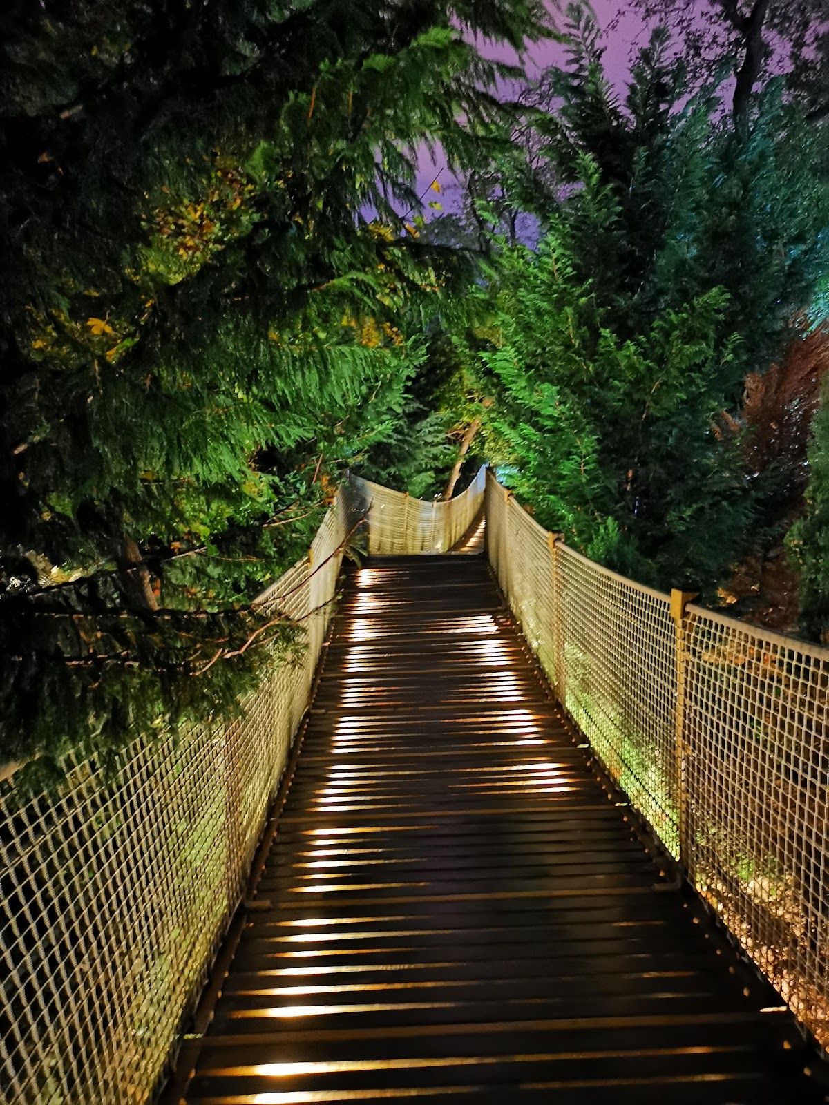 Yıldız Park photo 5