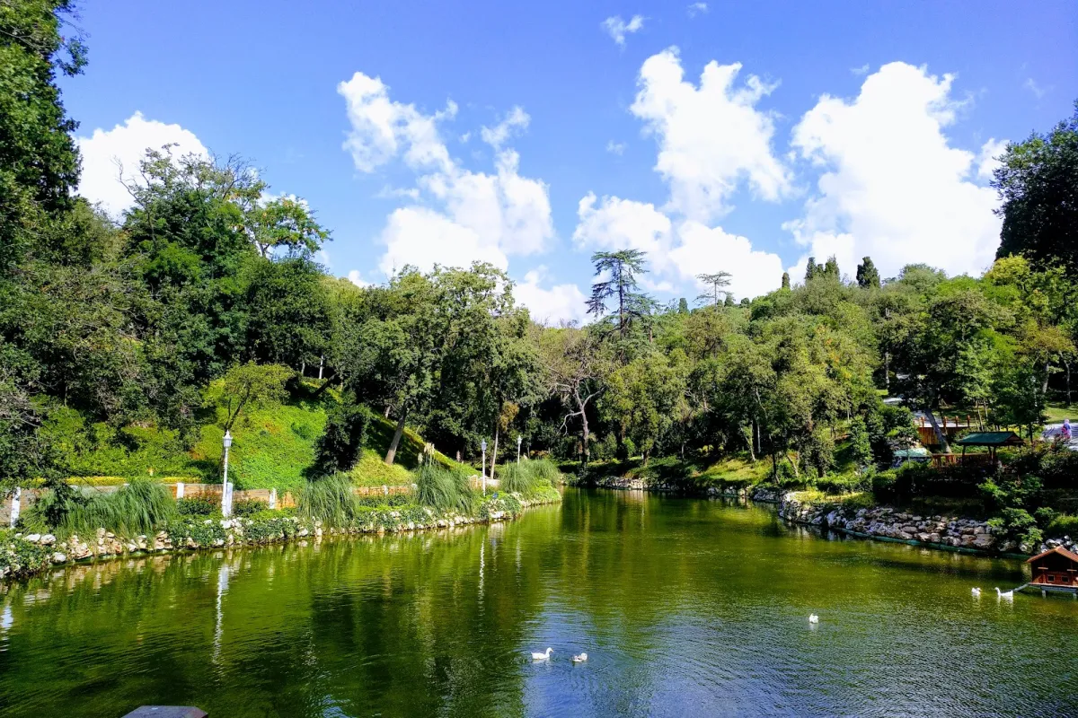 Yıldız Park photo 1
