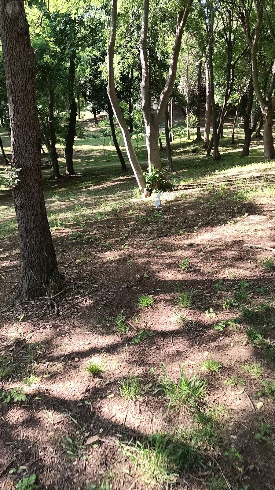 Yıldız Park photo 16