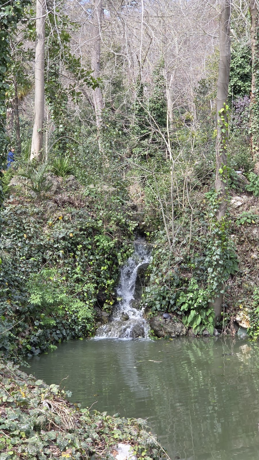 Yıldız Park photo 17