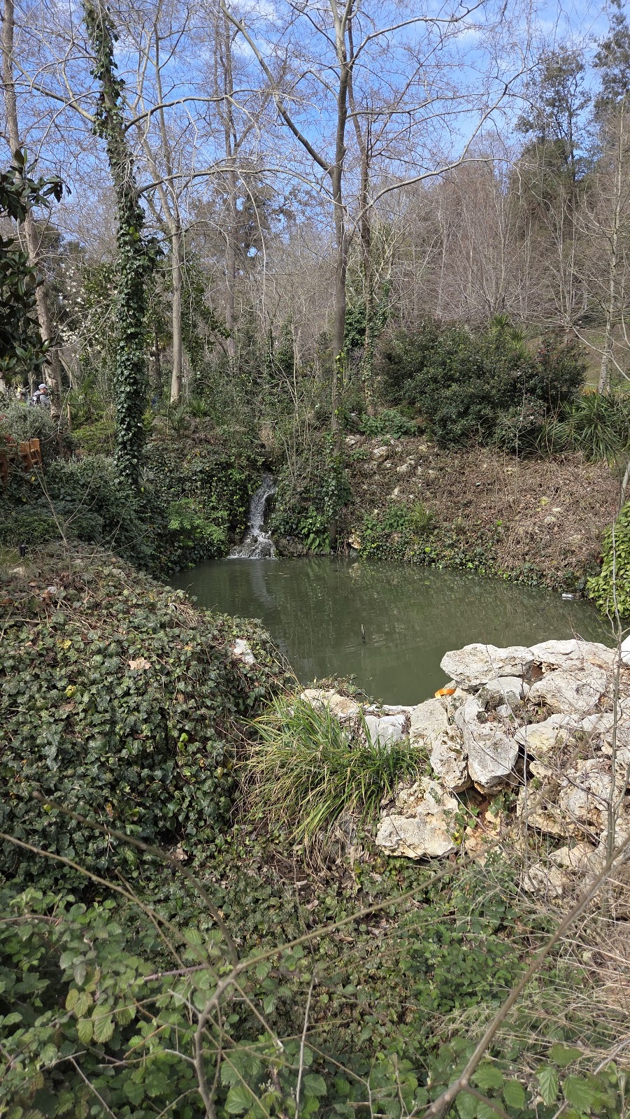 Yıldız Park photo 15