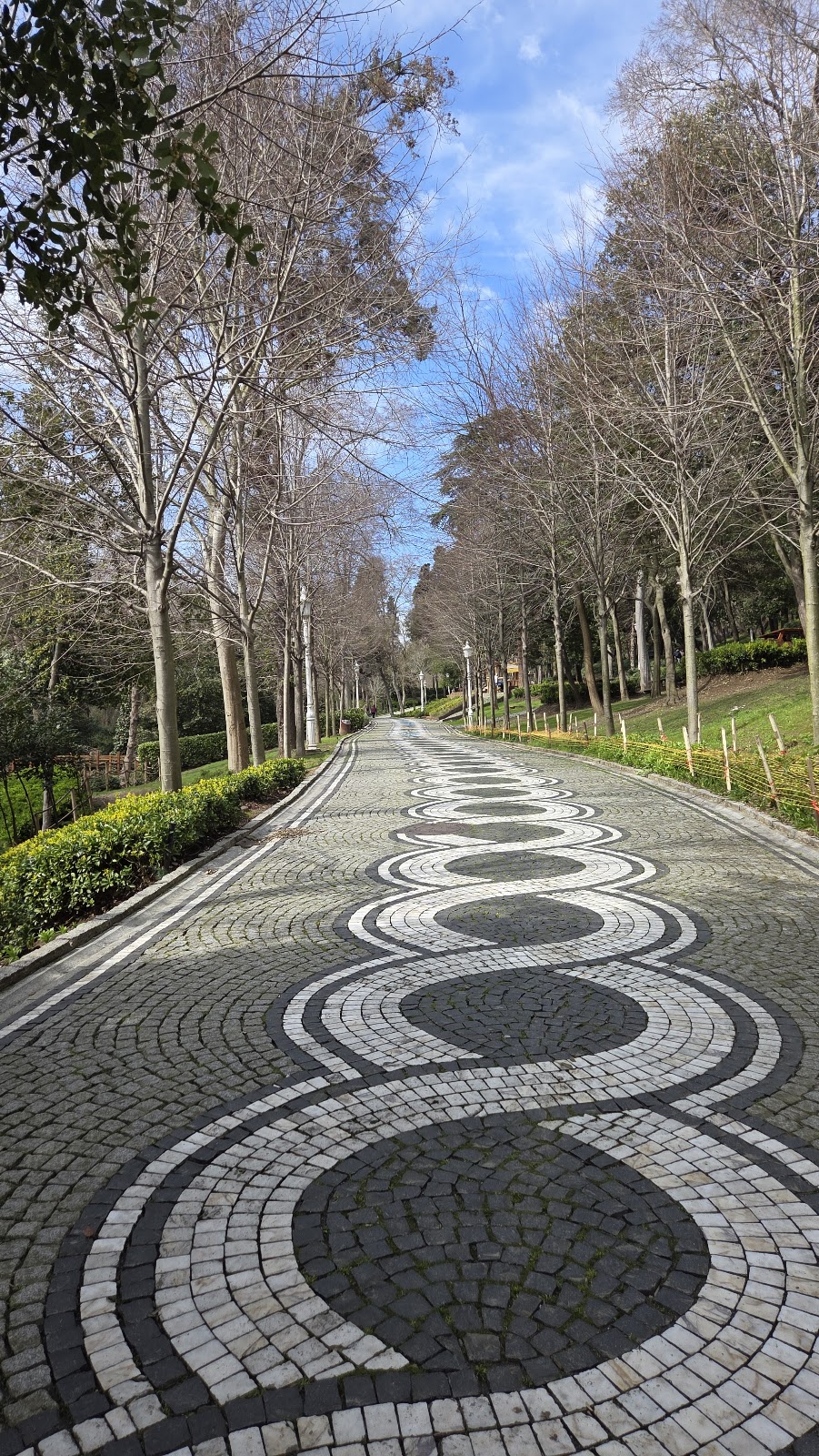 Yıldız Park photo 19
