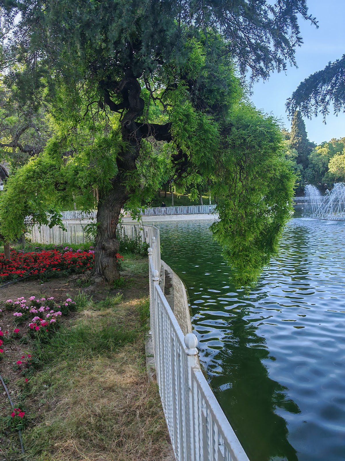 Yıldız Park photo 4