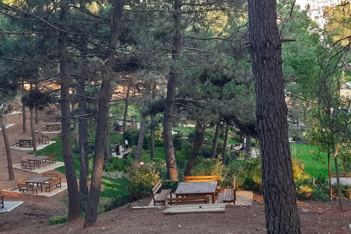 Trabzon Park photo 1