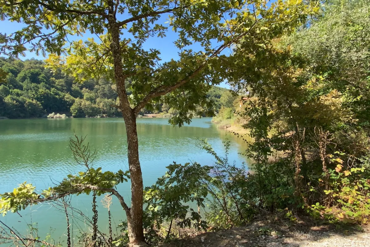Küçükelmalı Nature parks photo 1