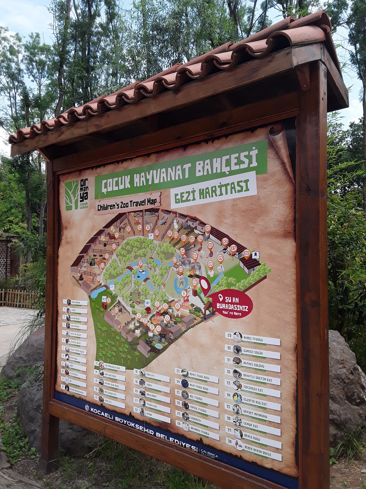 Sapanca Gölü Yürüyüş Yolu photo 6
