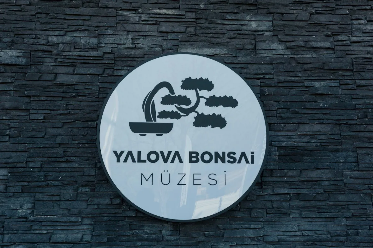 YALOVA BONSAİ MÜZESİ photo 1