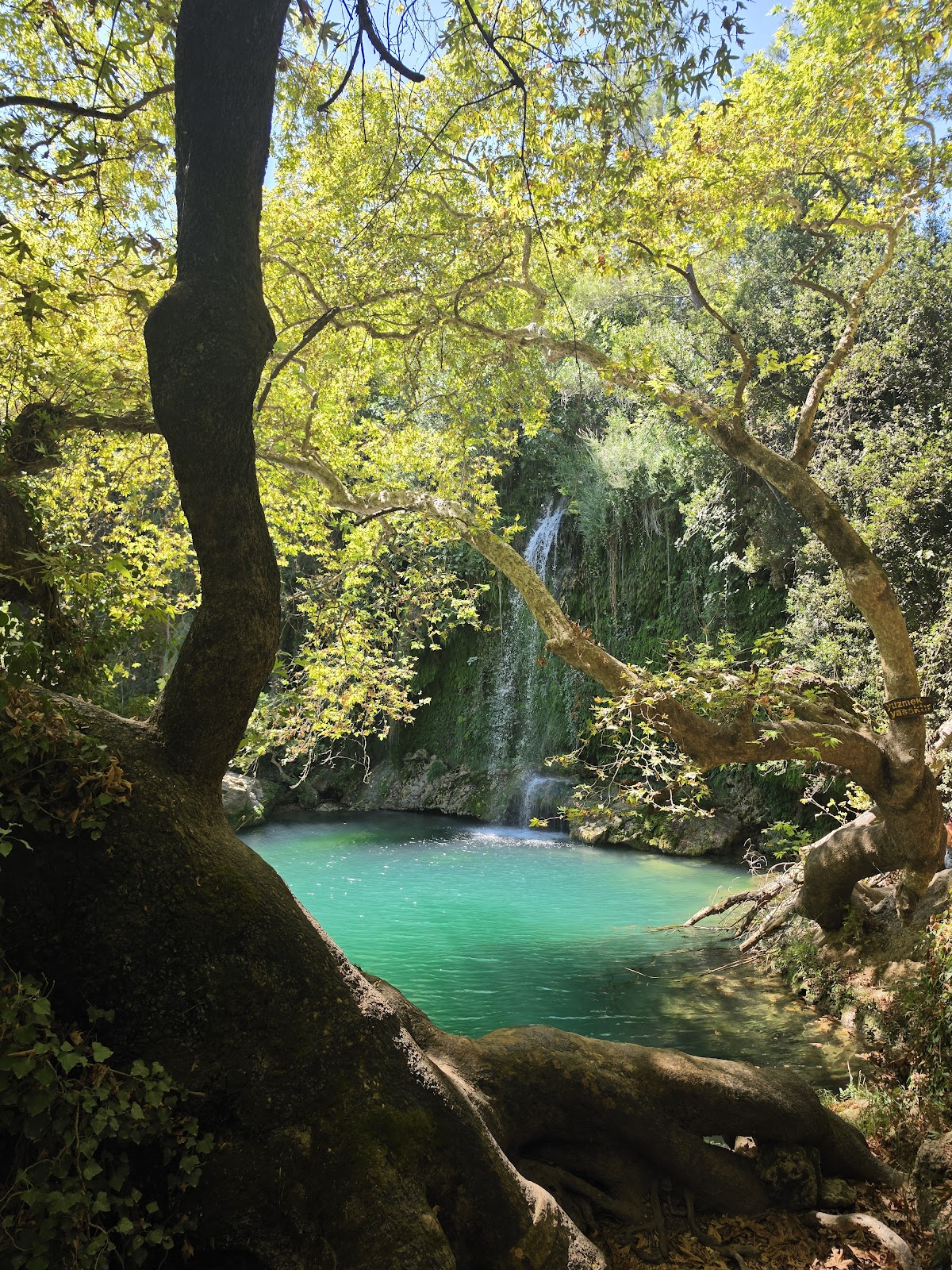 Kurşunlu Waterfall photo 4
