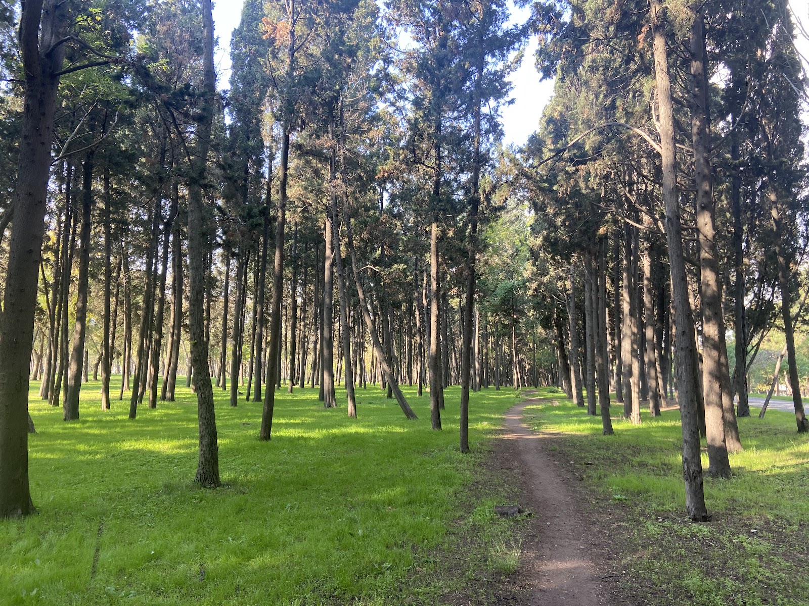 Florya Atatürk Forest photo 4