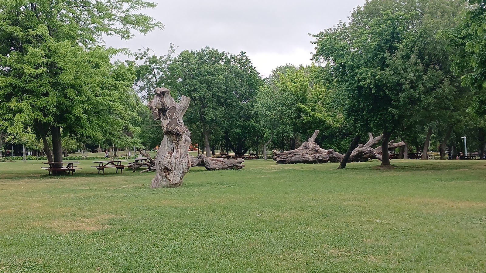 Florya Atatürk Forest photo 3