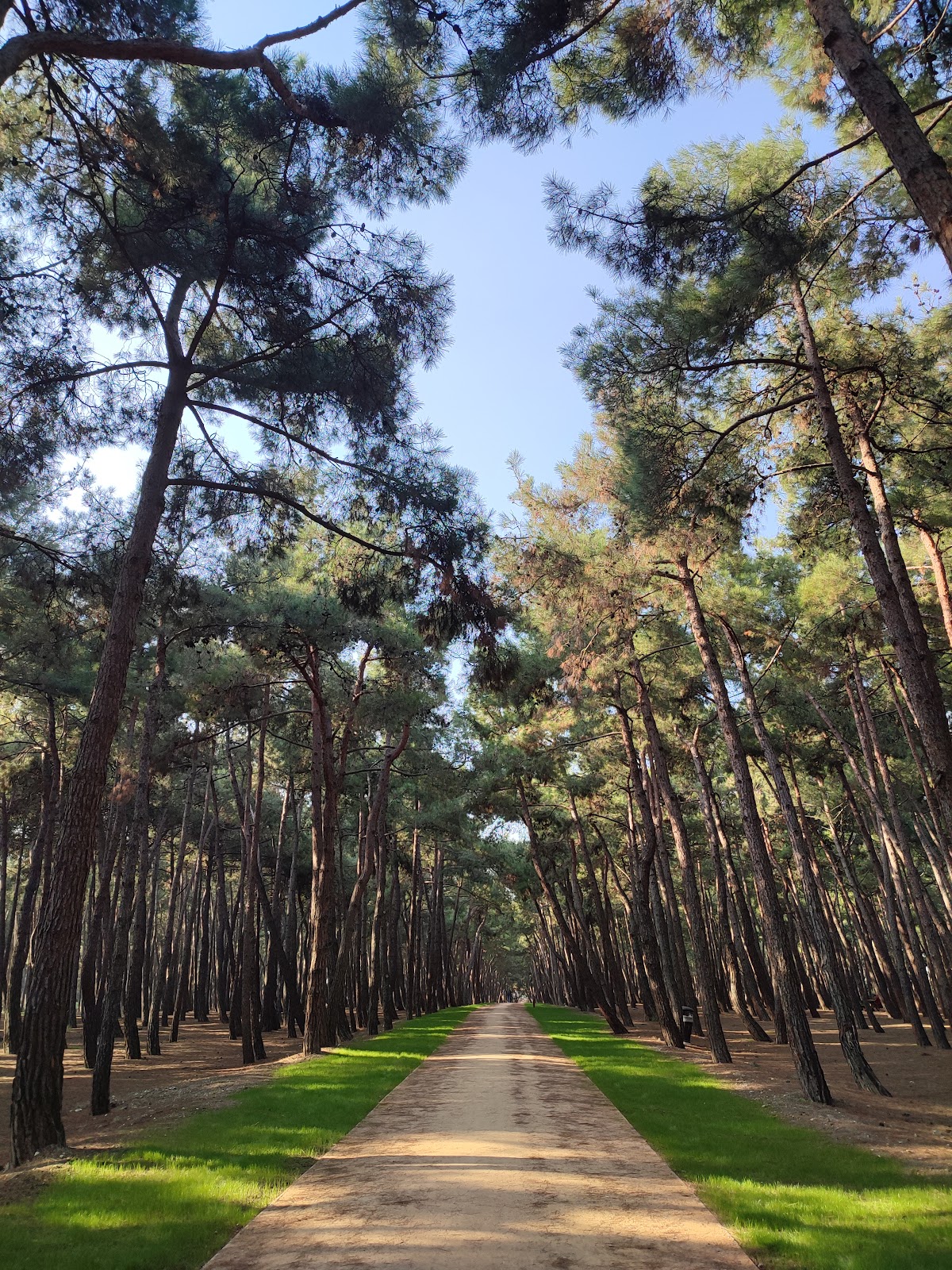 Florya Atatürk Forest photo 2