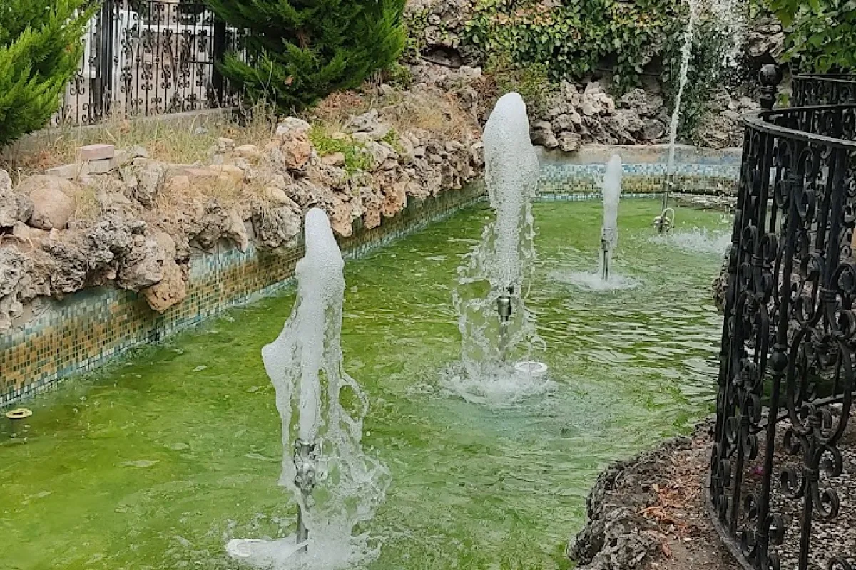 İnönü Park photo 1