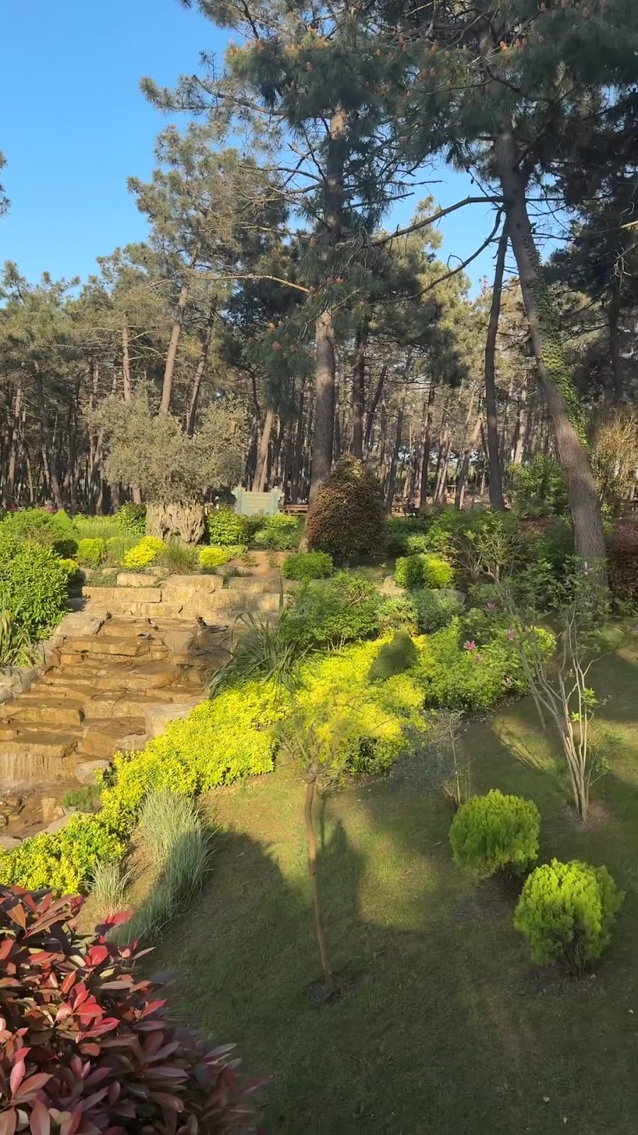 Ümraniye National Garden photo 3