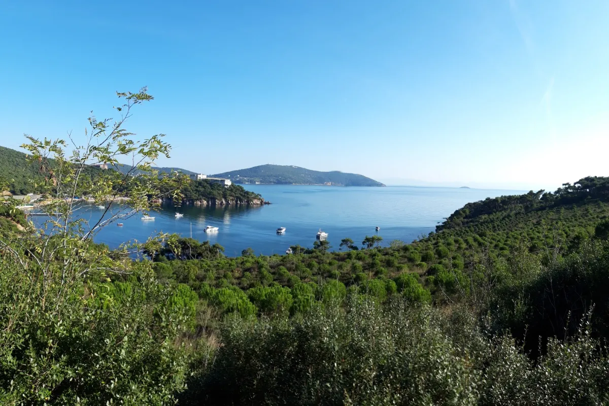 Pine Harbor Bay photo 1