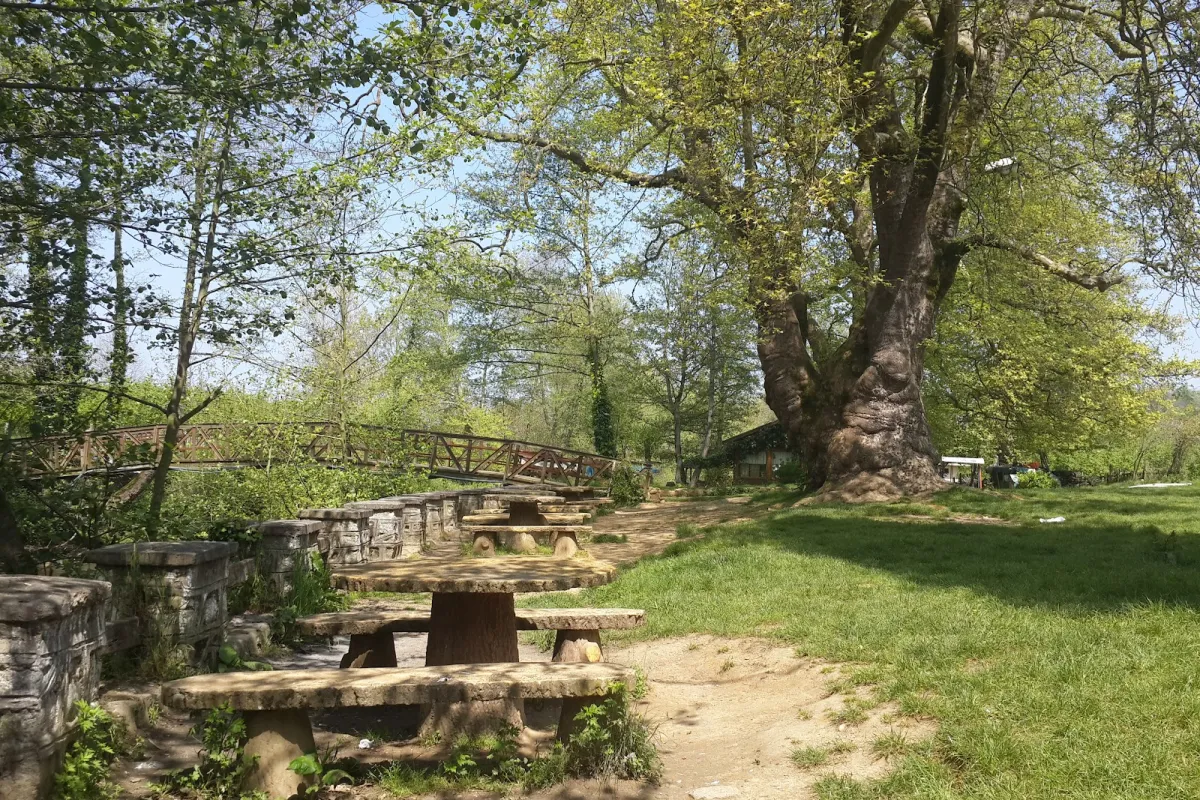 Cumayani Picnic Area photo 1