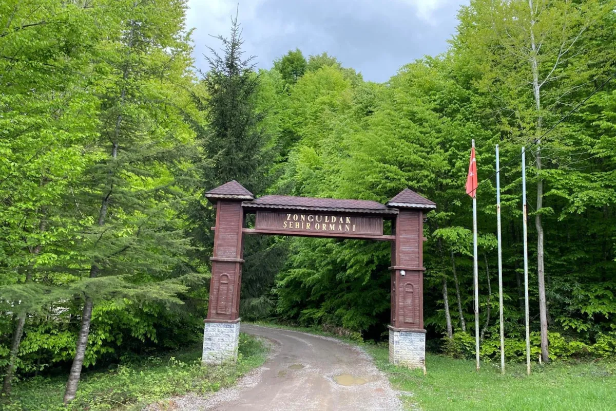 Forest City Zonguldak photo 1