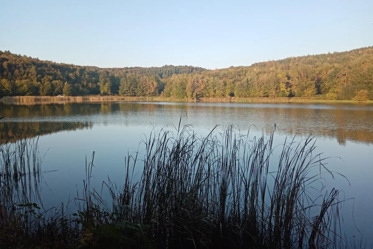 Korugöl Nature Park photo 1