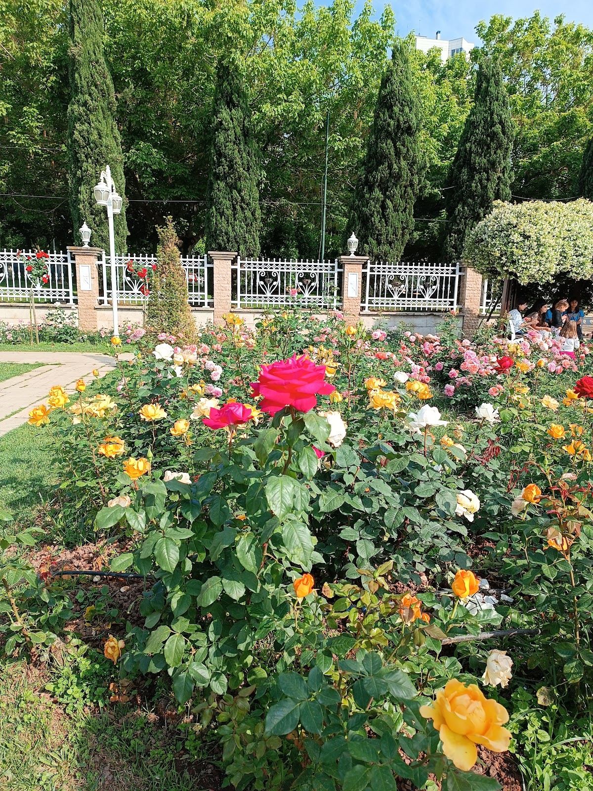 İBB Göztepe 60th Year Park photo 10