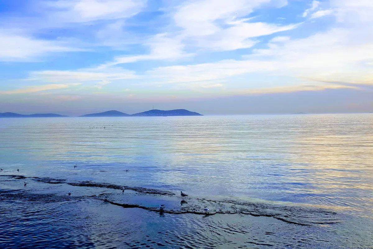 Dalyan Parkı photo 1
