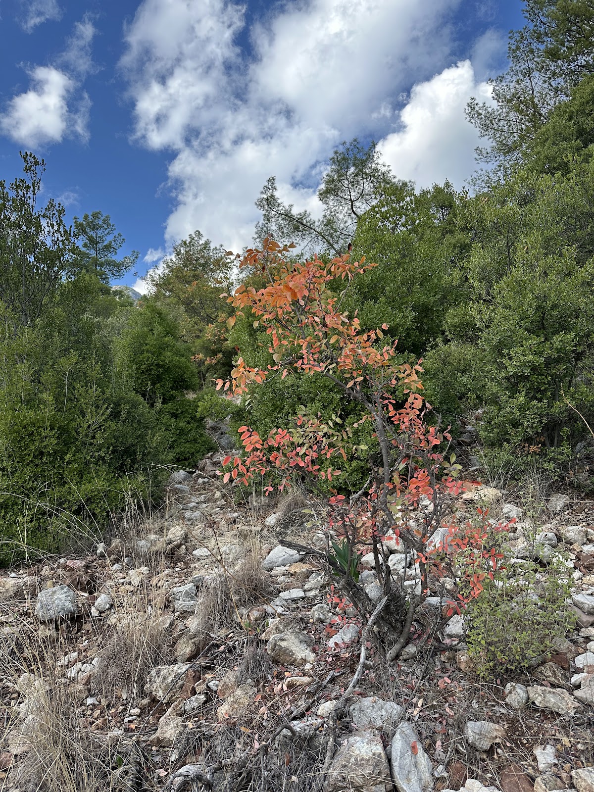 Doyran Pond photo 8