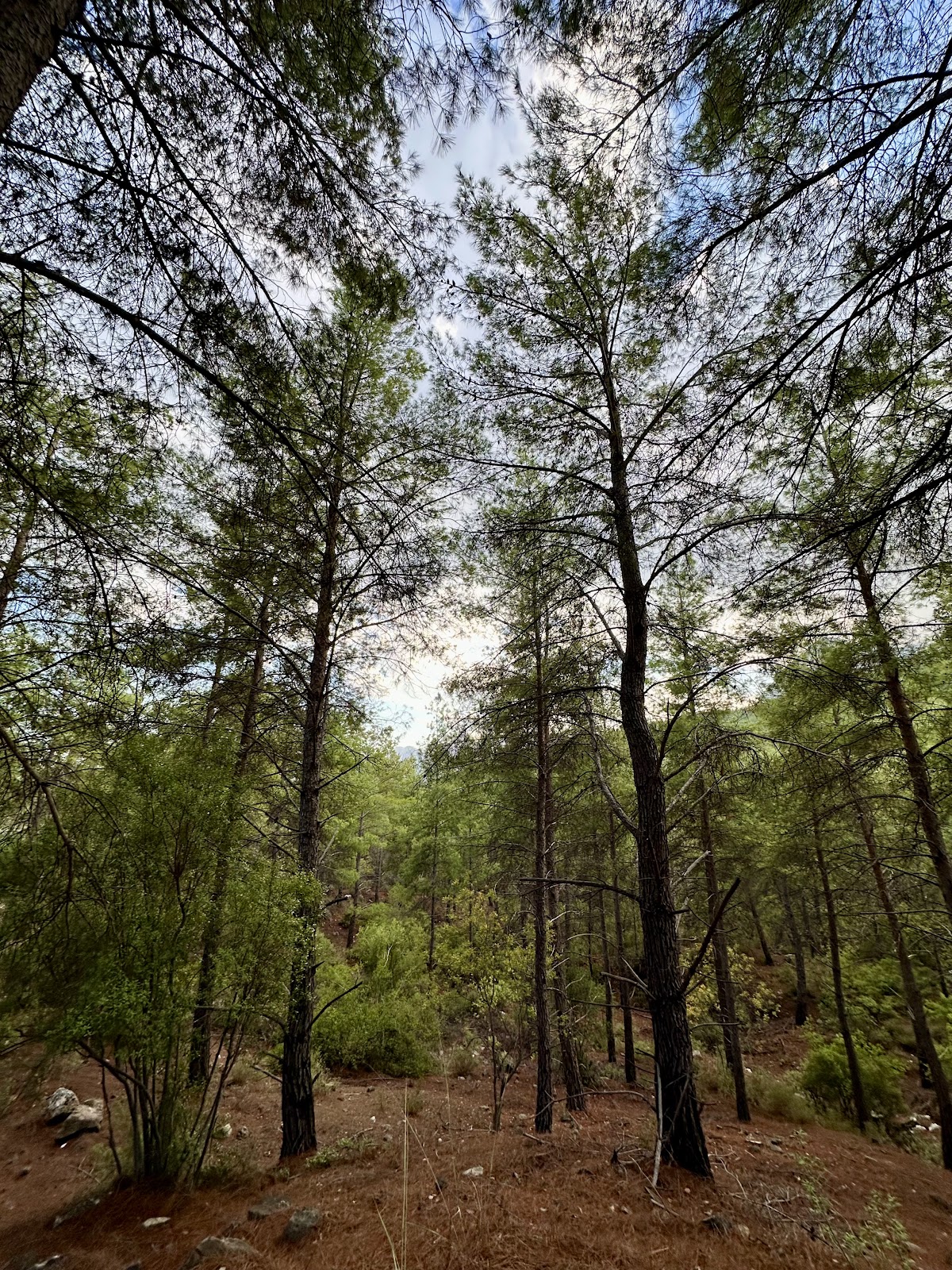 Doyran Pond photo 10