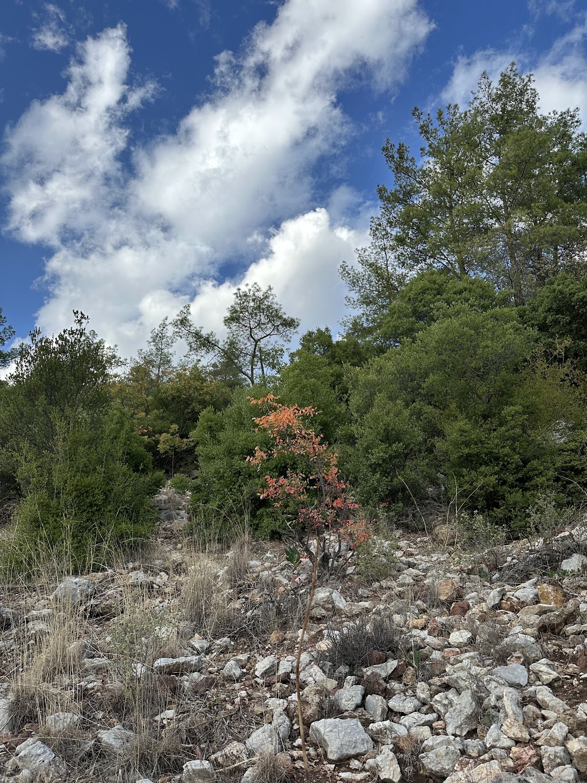 Doyran Pond photo 11