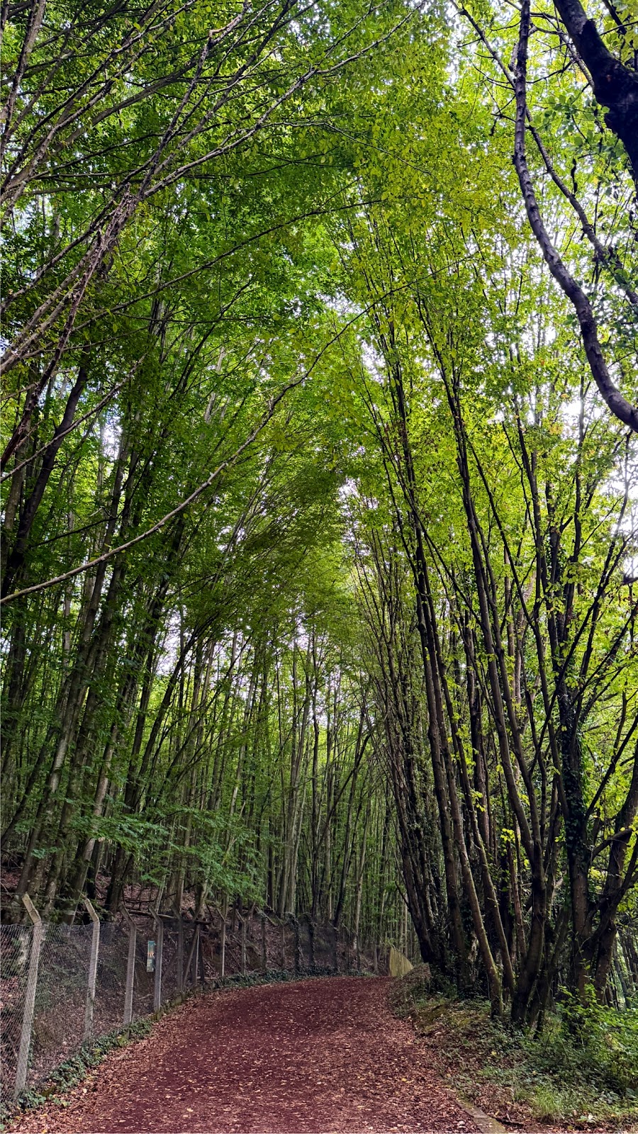 Polonezköy Nature Park photo 4