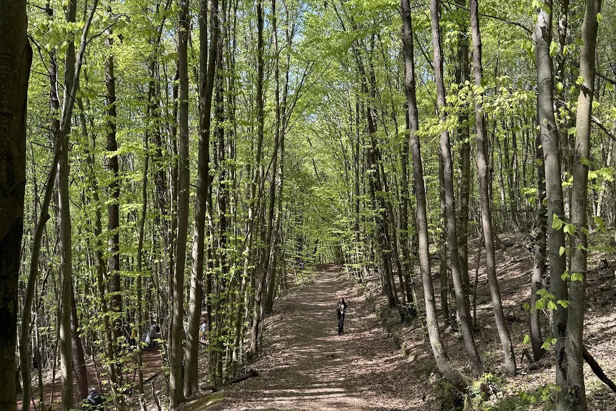Polonezköy Nature Park photo 1