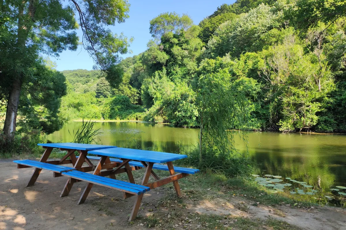 Kazandere Picnic Alani photo 1