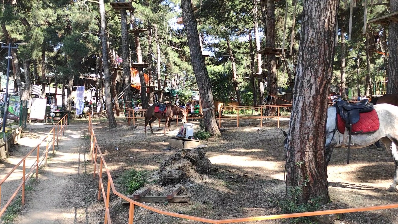 Ataturk's Urban Forest photo 5
