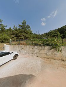 Ataturk's Urban Forest photo 7