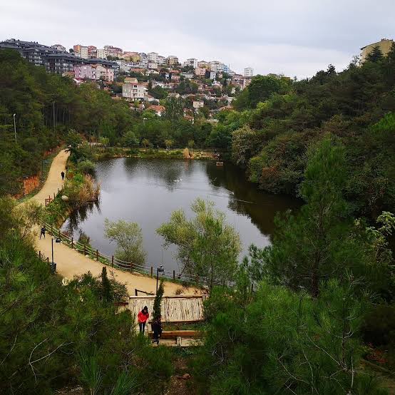 Ataturk's Urban Forest photo 4
