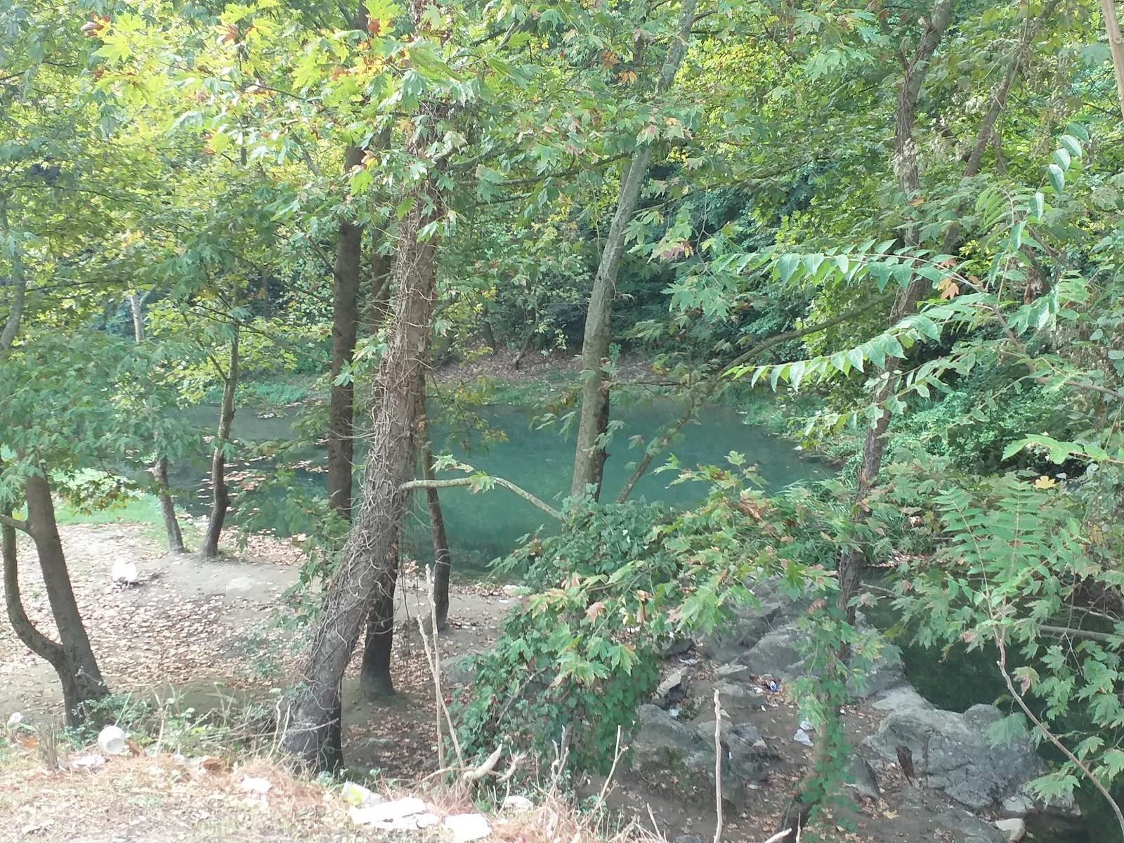 Ataturk's Urban Forest photo 3