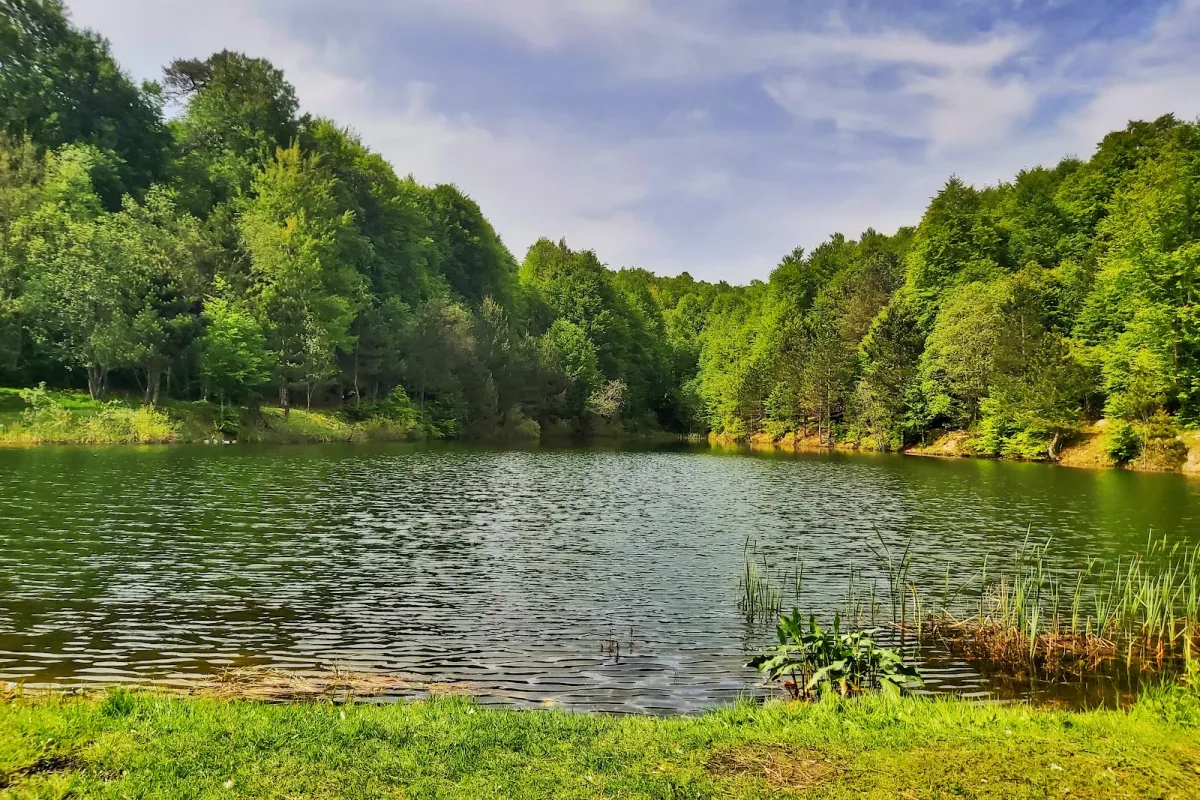 Topuk Yaylası Tabiat Parkı photo 1