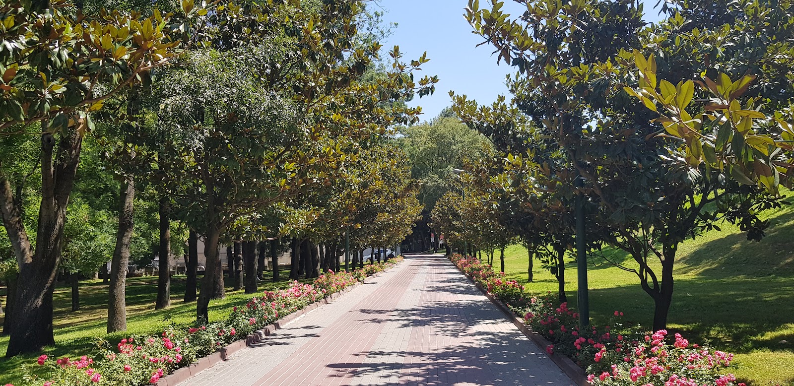 Reşat Oyal Culture Park photo 11