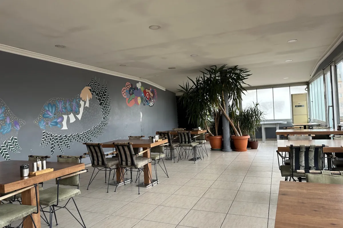 Patika & Bistro Cafe photo 1