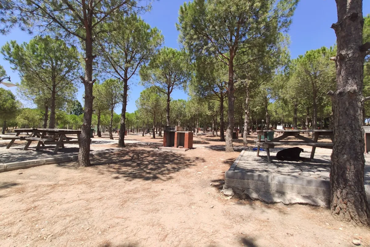 Ataturk Woods photo 1